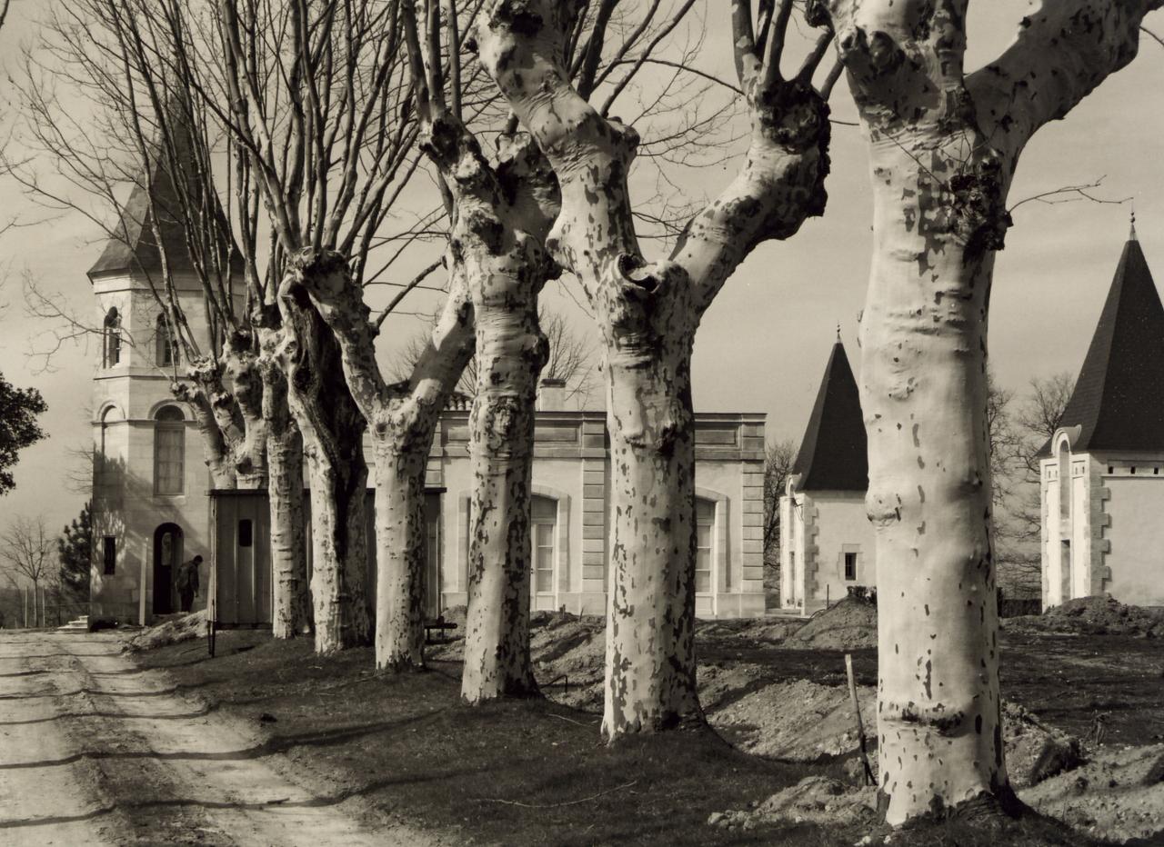 Les Eglisottes, les deux pigeonniers de la Brande-Bergère