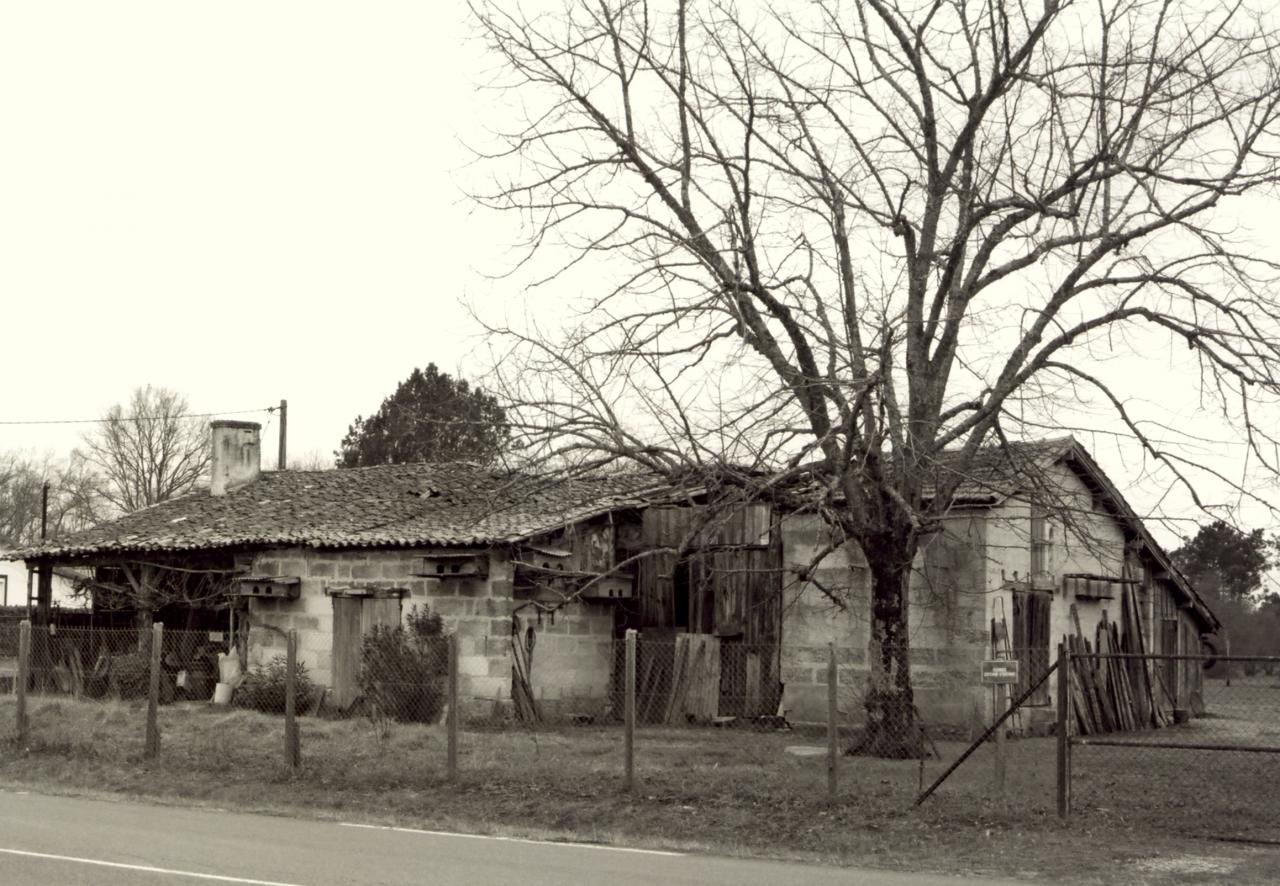 Les Eglisottes, une ancienne maison au lieu-dit  Bel-Air