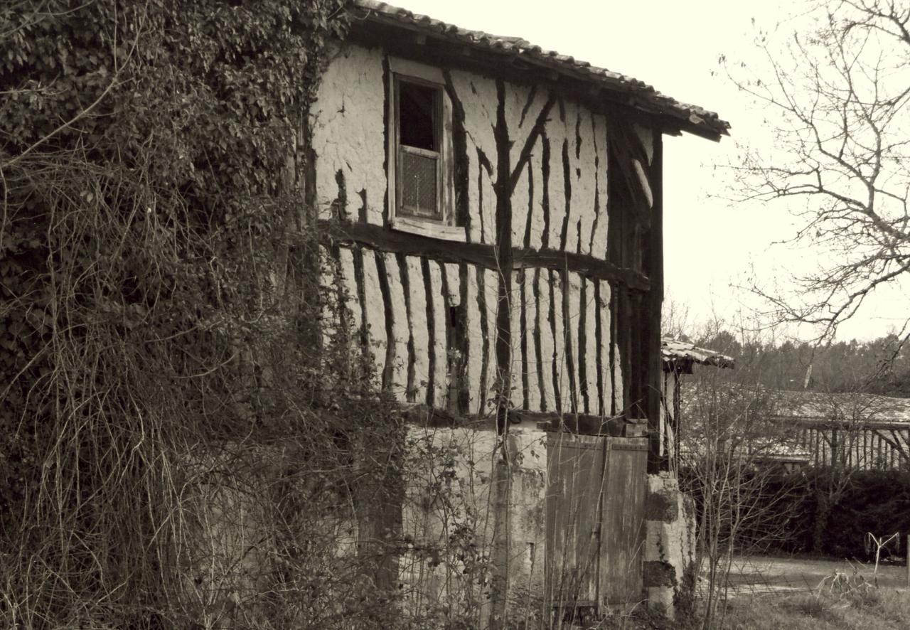 Saint-Seurin-sur-Isle, une maison en torchis