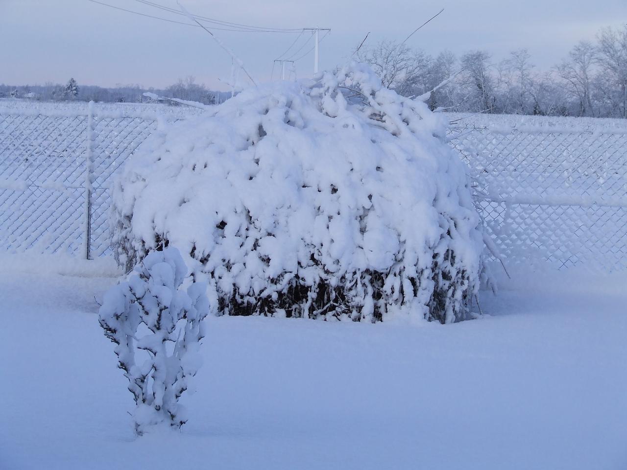 qui a dit qu'il neige jamais en Gironde?