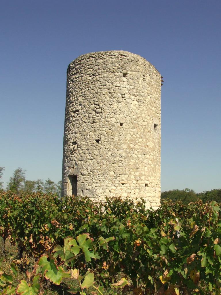 Saint-Aignan, anciens moulins