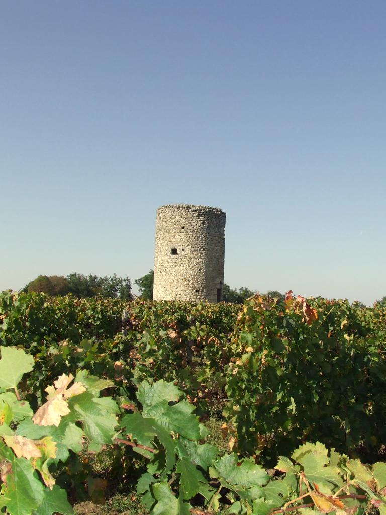 Saint-Aignan, anciens moulins