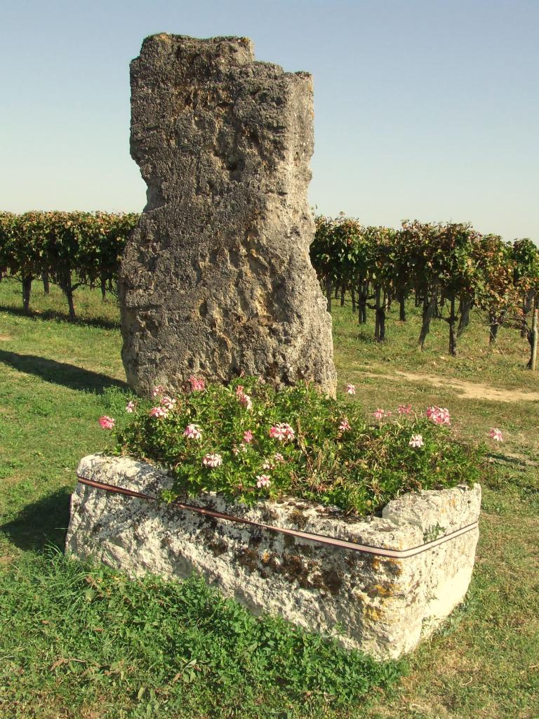 Saillans, le menhir entouré de fleurs