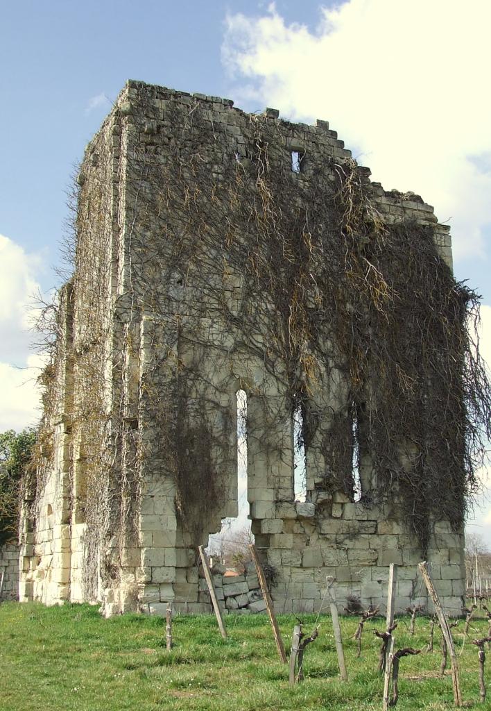 Galgon, les vestiges de l'église des Templiers, au lieu-dit Fougères