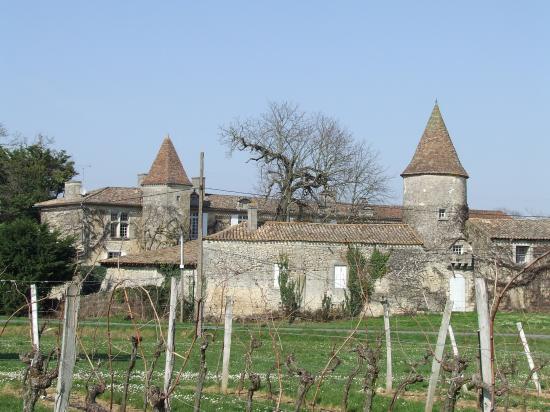 Grézillac, une autre vue du château Reynier,