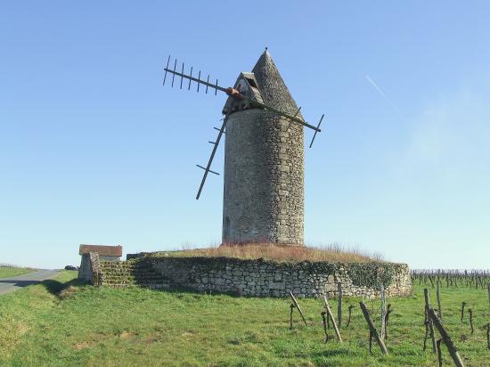 Saint-Aubin-de-Branne, le moulin à vent Lescour.