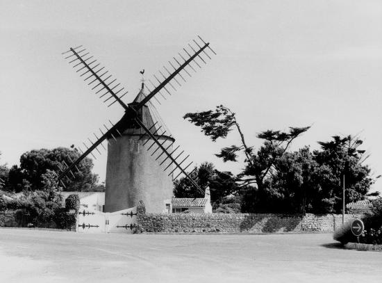 Saint-Martin-de-Ré, le moulin de Beillère