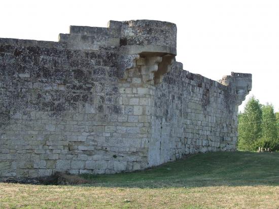 Saint-Quentin-de-Baron, le château de Bisqueytan.