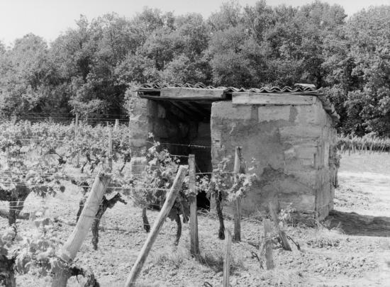 Génissac, une petite maison de vigne.
