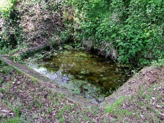 Grézillac, un lavoir abandonné,