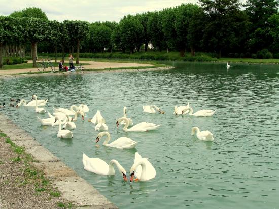 Migennes, le bassin du port,