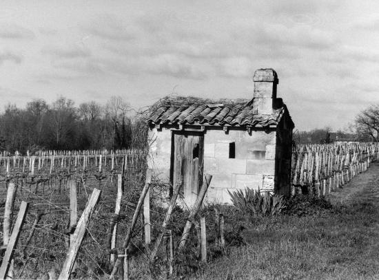 Arveyres, une petite maison de vigne vers Tillède