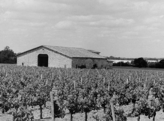 Vayres, un hangar de vigne.