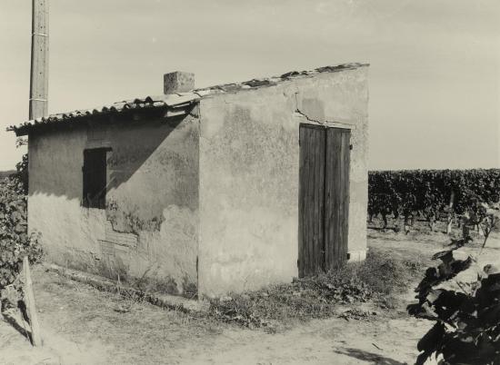 Saint-Christophe-des-Bardes, une cabane de vigne au lieu-dit Rocheyron