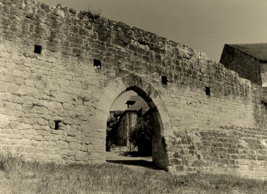 Domme, fortification et porte d'accès.