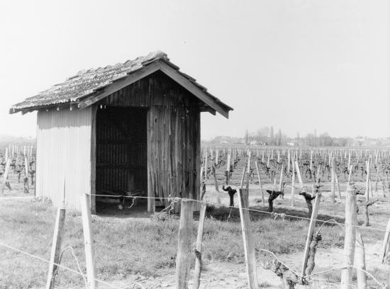 Vignonet, une cabane de vigne.