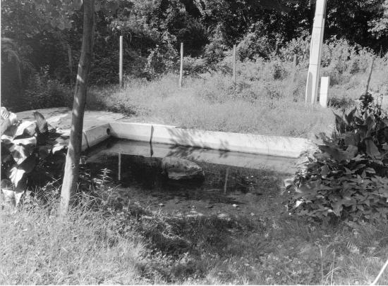 Saint-Denis-de-Pile, un lavoir,