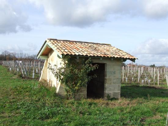Génissac, une petite maison de vigne.