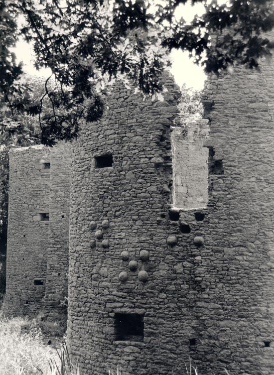 Herbignac, le château de Ranrouet.