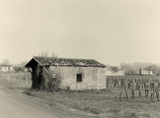 Saint-Etienne-de-Lisse, une cabane de vigne.