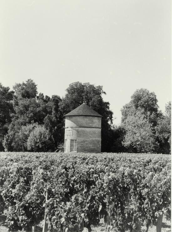 Libourne, un pigeonnier au Pintey.