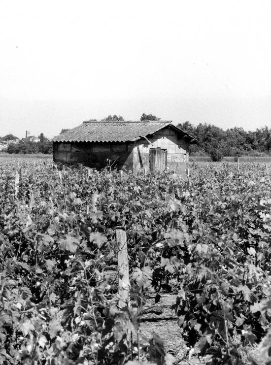 Arveyres, une petite maison de vigne sur la route de Génissac