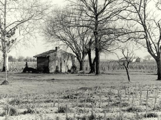 Saint-Sulpice-de-Faleyrens, une très belle cabane de vigne.