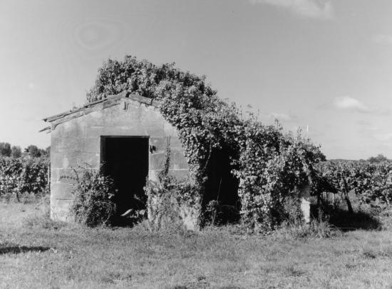 Saint-Germain-du-Puch, une petite maison de vigne.