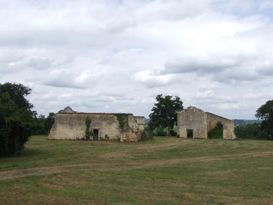 Vue générale: la Maison forte et le Chai