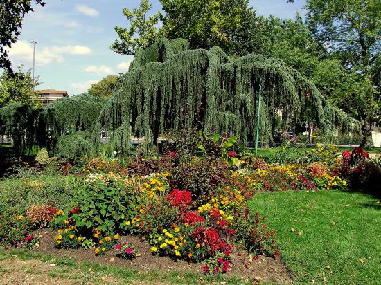 Le square, des arbres et des fleurs.