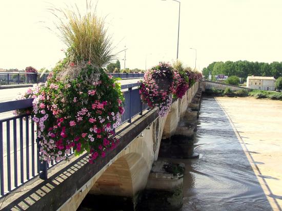 Vue générale du pont à marée descendante.