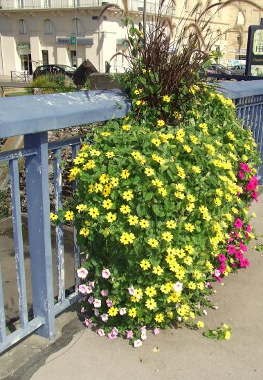 Sur le pont, une vasque fleurie.