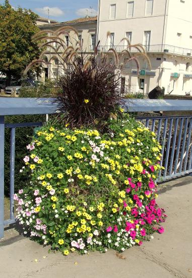 Pont sur la Dordogne: une vasque fleurie.