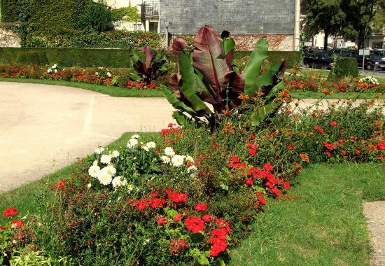 Parterre de fleurs aux Monument aux Morts.